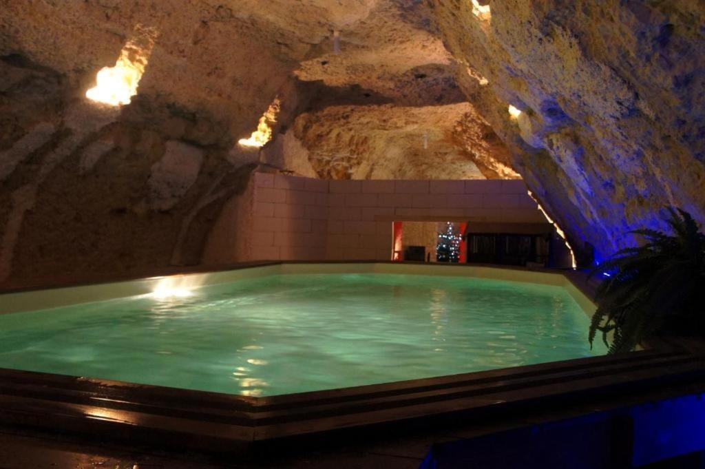 Chambres D'Hotes Troglodytes Le Clos De L'Hermitage Amboise Pokój zdjęcie